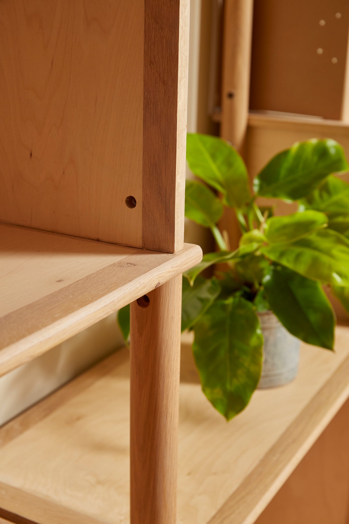 TEX shelving