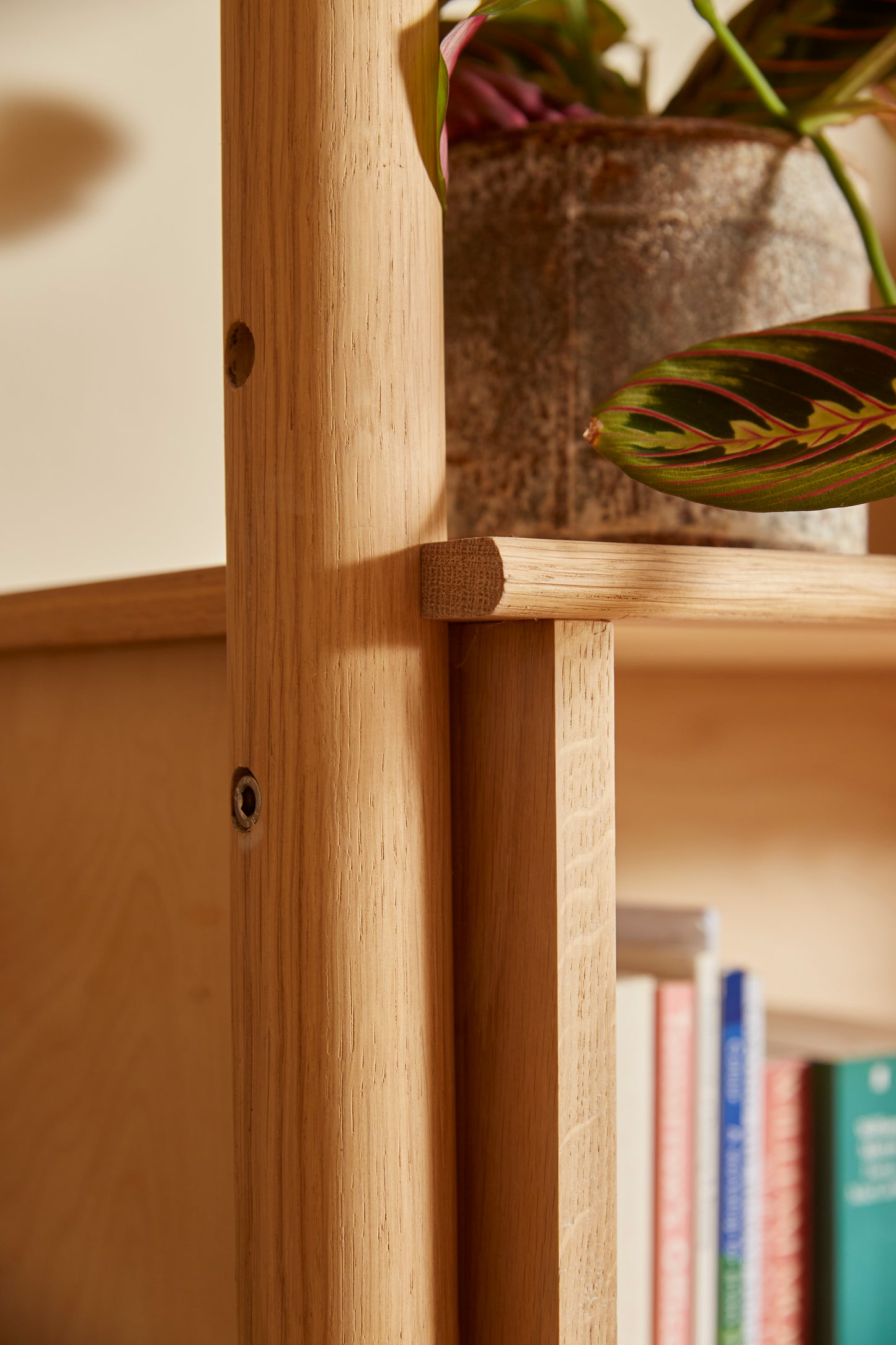 TEX shelving