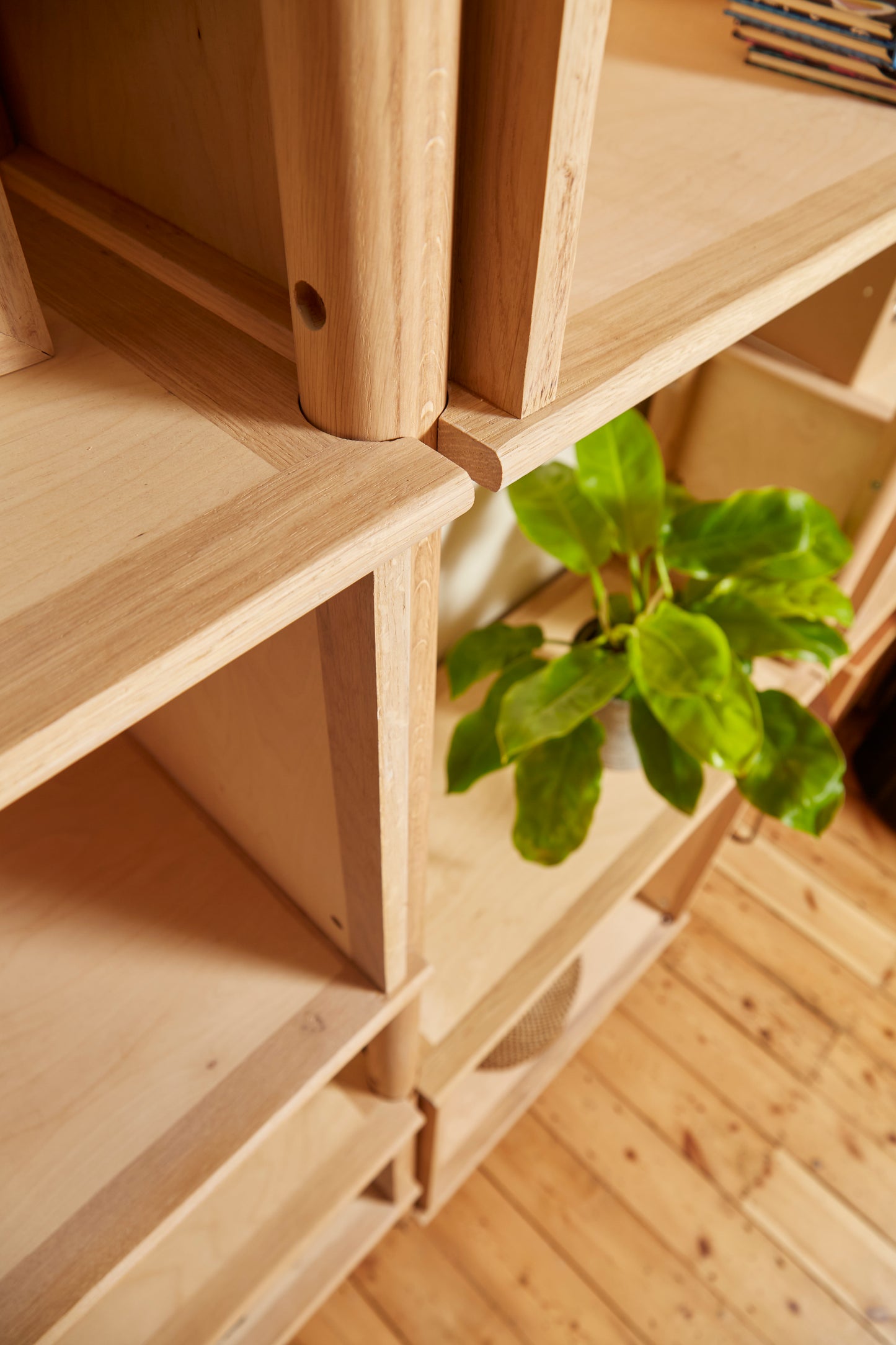 TEX shelving