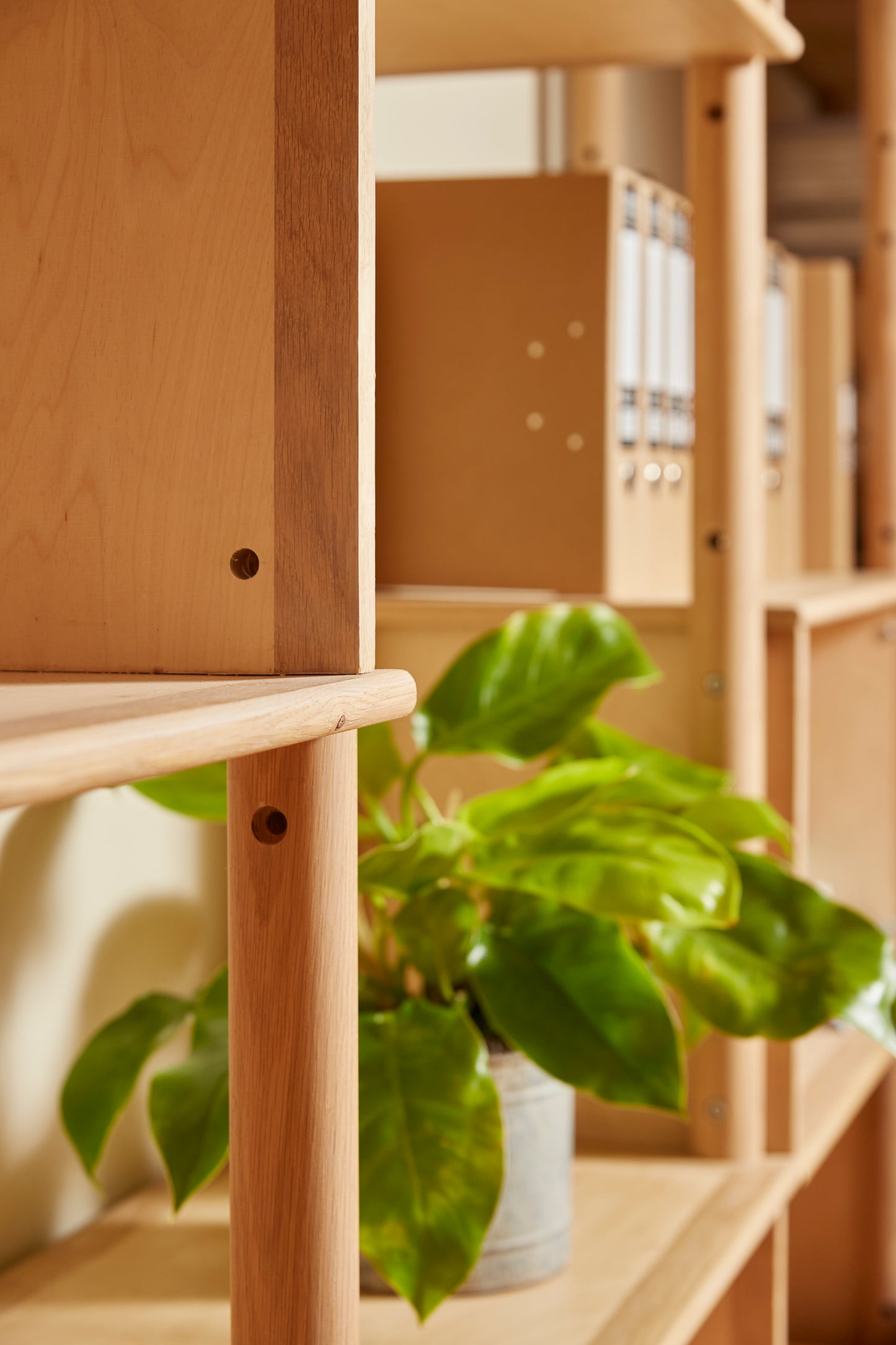 TEX shelving