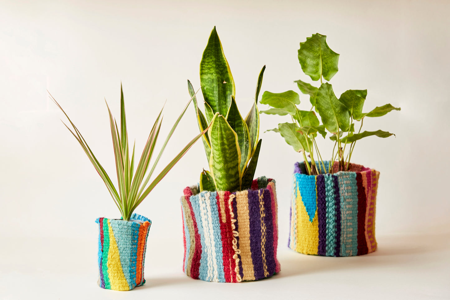 Jaunty Woven Plant Pots