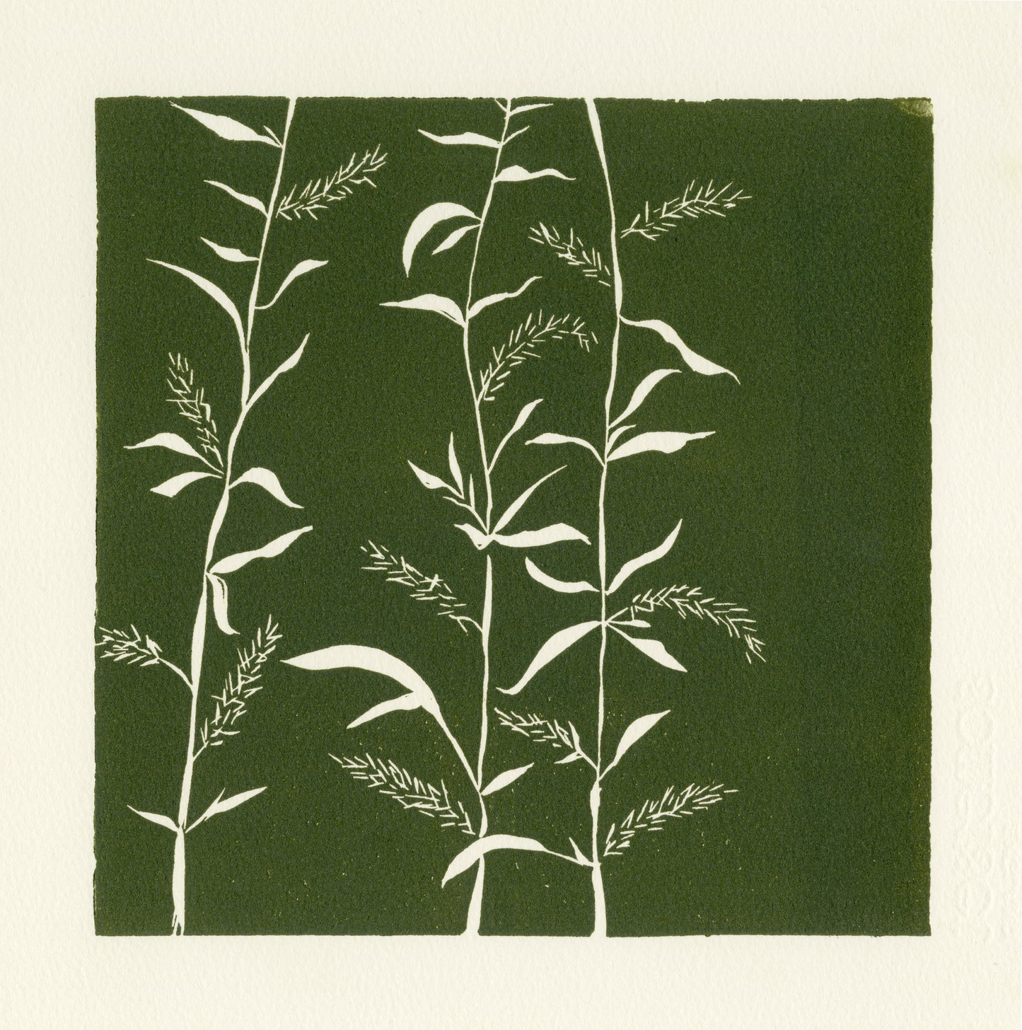 Willow - Green