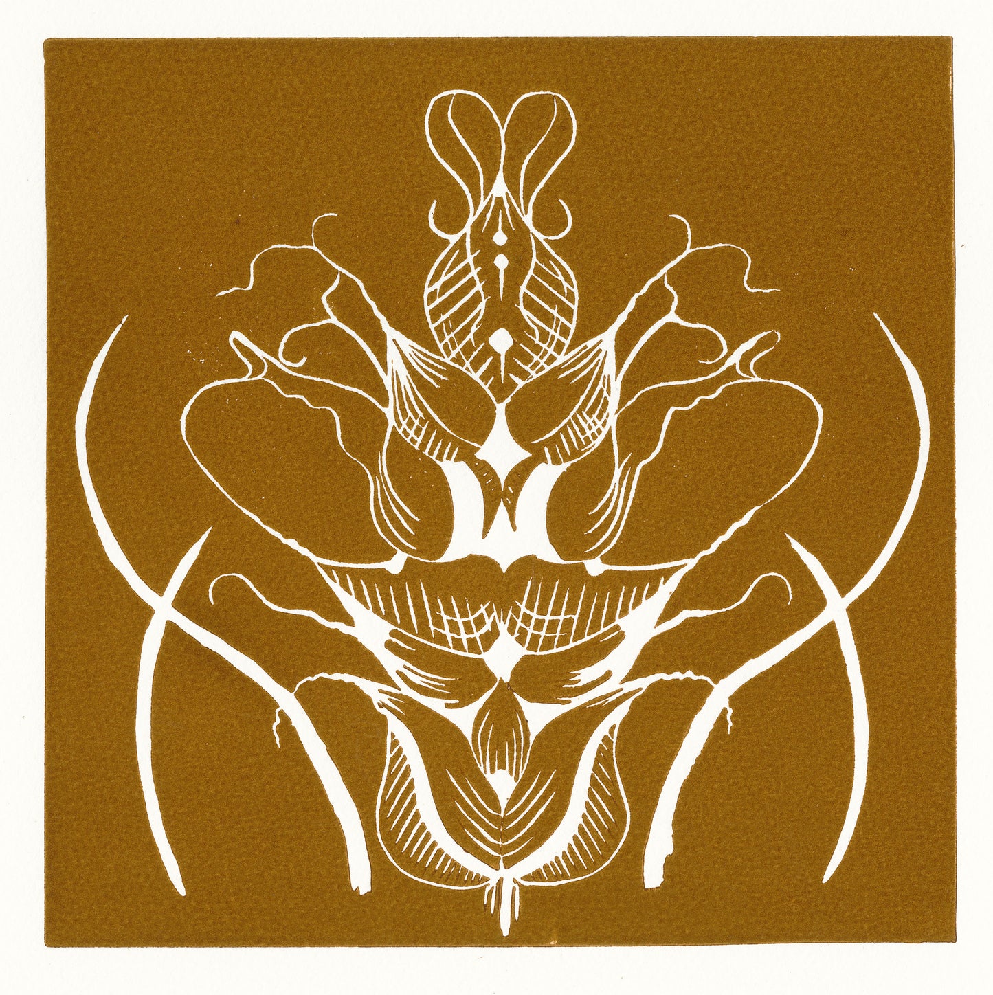 Carex Davalliana - Lino Print