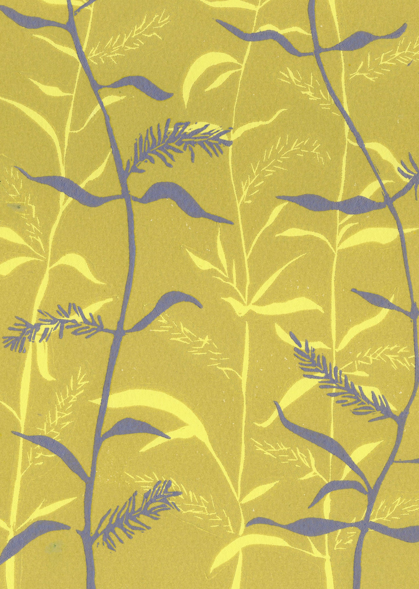 Willow - Yellow + Blue