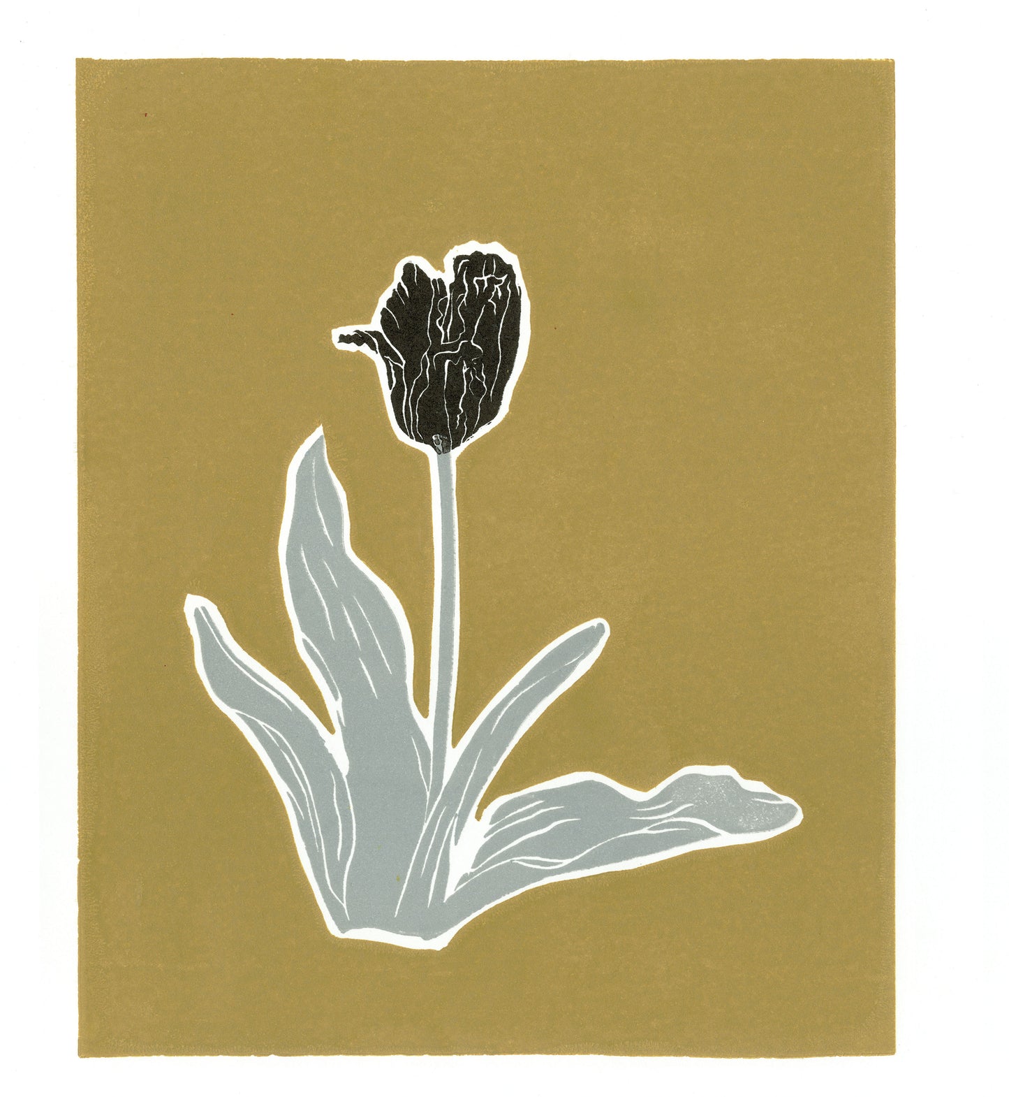 Spring tulip - Black on Gold