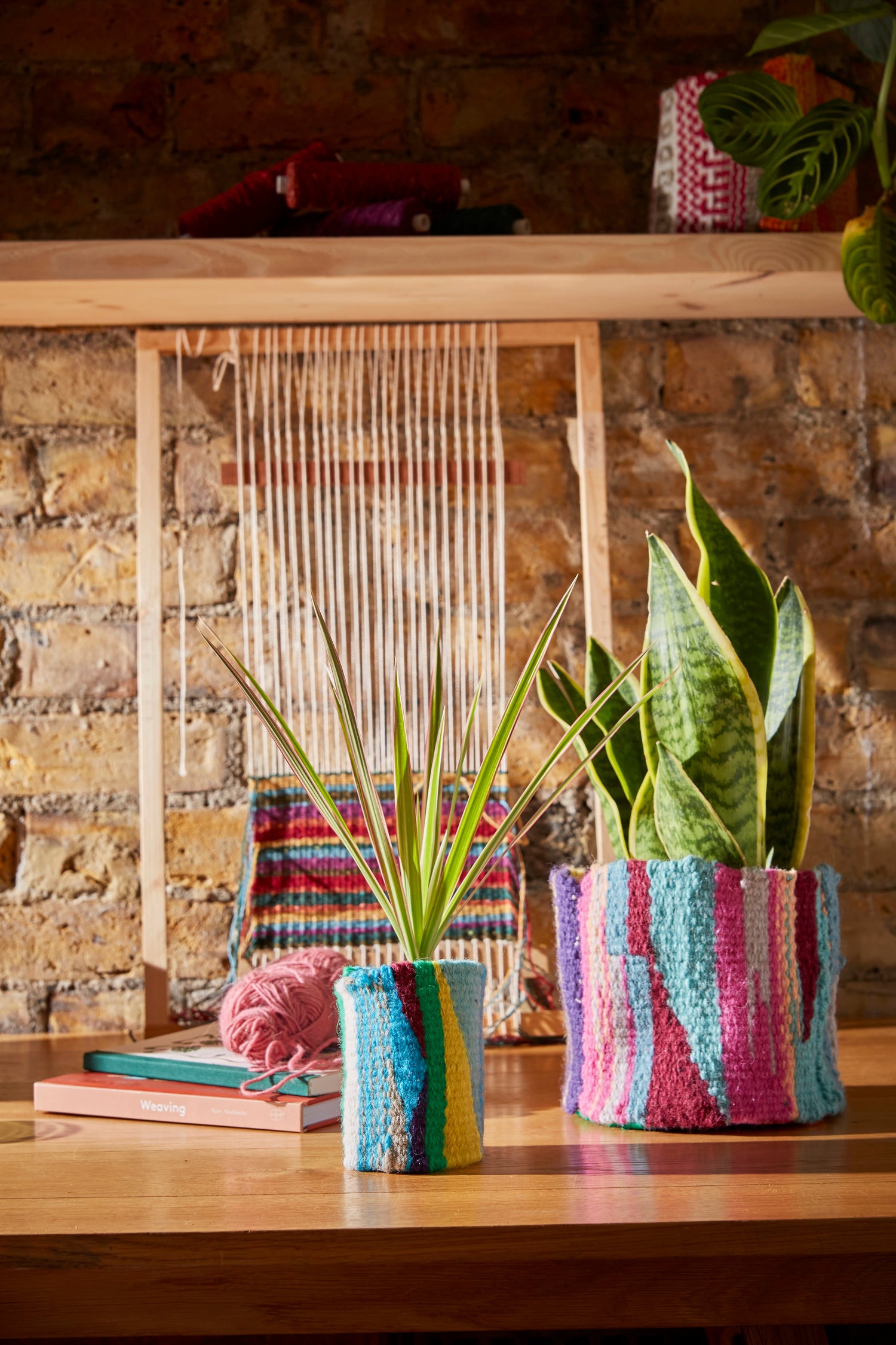 plant pots
